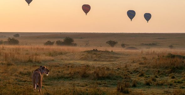 hot air balloon safaris 1 hot air balloon safaris 1