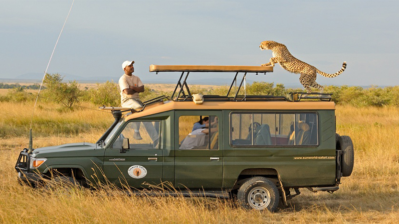 12 days 11 nights tsavo west tsavo east taita hills amboseli aberdare nakuru naivasha masai mara safari package