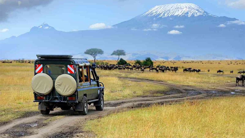 2 days 1 night amboseli safari package 1