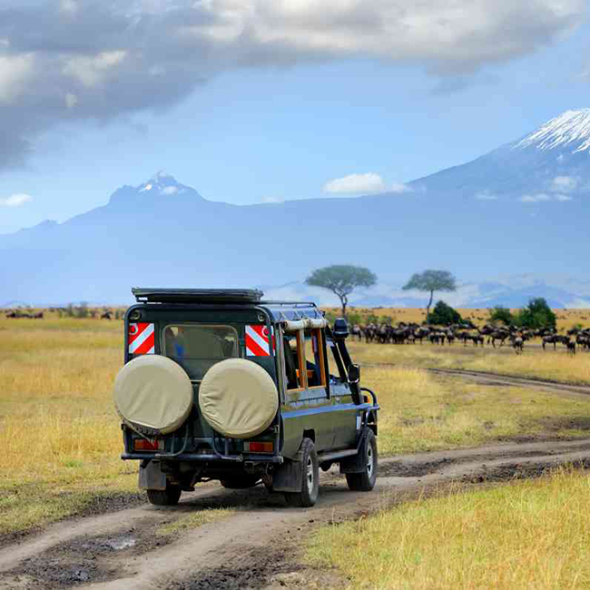 2-days-1-night-amboseli-safari-package