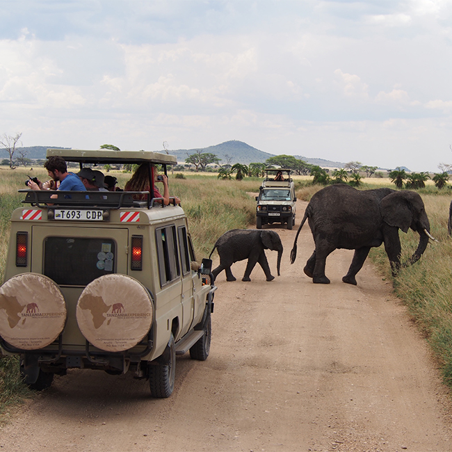 4-days-3-nights-ngorongoro-crater-serengeti-safari-package