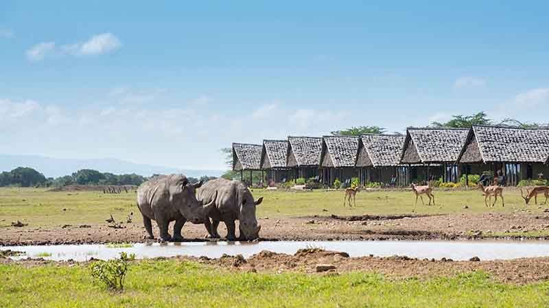 8 days 7 nights aberdares samburu sweet water lake nakuru masai mara safari package 1