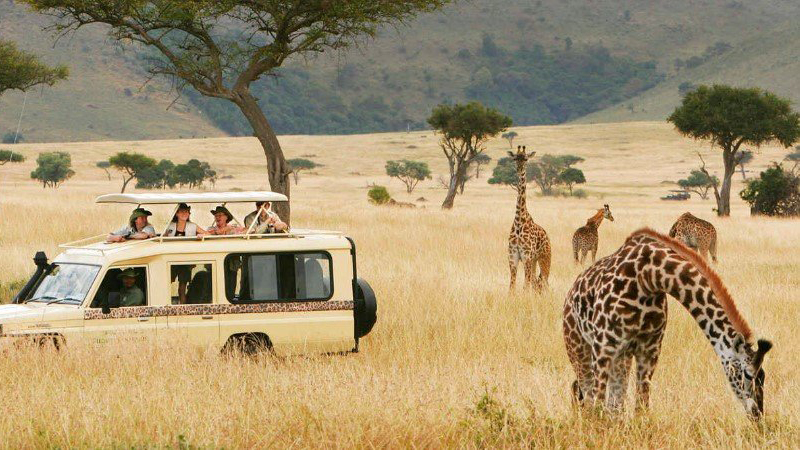 8 days lake nakuru amboseli lake manayara serengeti ngorongoro crater safari 1