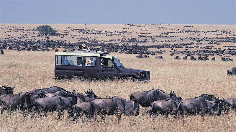 8 days tsavo east tsavo west amboseli lake naivasha masai mara luxury safari 1