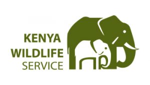 kenya wildlife service 300x171 1