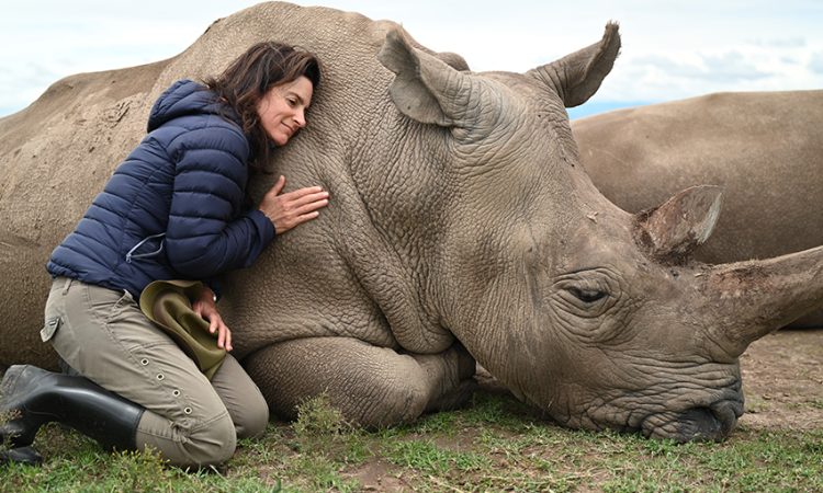 5 Day Ol Pejeta, Lake Nakuru & Masai Mara Luxury Safari